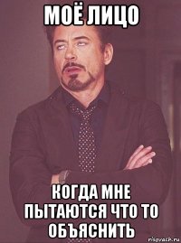 моё лицо когда мне пытаются что то объяснить