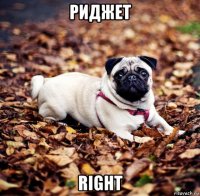 риджет right