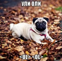 ули оли <ul> <ol>