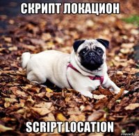 скрипт локацион script location