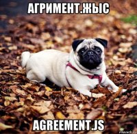 агримент.жыс agreement.js