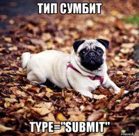 тип сумбит type="submit"