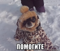  помогите