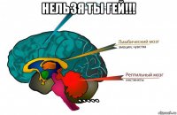 нельзя ты гей!!! `````