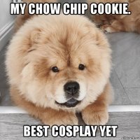 my chow chip cookie. best cosplay yet
