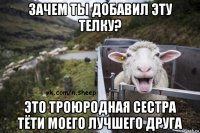 зачем ты добавил эту телку? это троюродная сестра тёти моего лучшего друга