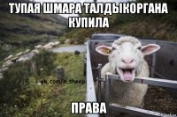 тупая шмара талдыкоргана купила права