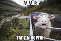 жалайыр талдыкорган