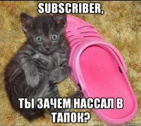 subscriber, ты зачем нассал в тапок?