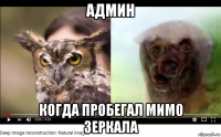 админ когда пробегал мимо зеркала