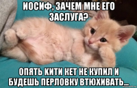 иосиф, зачем мне его заслуга? опять kити кет не купил и будешь перловку втюхивать...