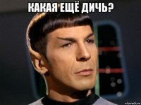 какая ещё дичь? 