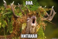 она нитакая