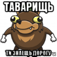 таварищь ти знаещь дорогу