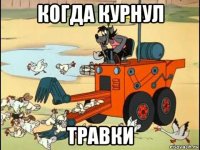 когда курнул травки