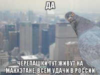 да черепашки тут живут на манхэтане, всем удачи в россии