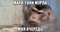 мари, гони мурла моя очередь