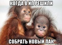 когда в ип решили собрать новый пак