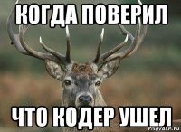 когда поверил что кодер ушел