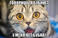 говоришь я бубню? у меня нет бубна!