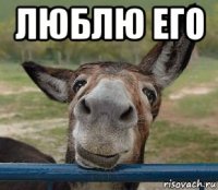 люблю его 