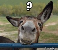 ? 