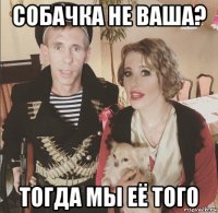 собачка не ваша? тогда мы её того