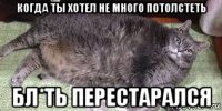 когда ты хотел не много потолстеть бл*ть перестарался
