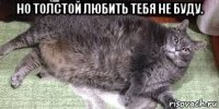 но толстой любить тебя не буду. 