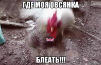 где моя овсянка блеать!!!