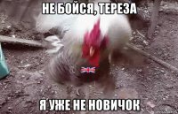 не бойся, тереза я уже не новичок