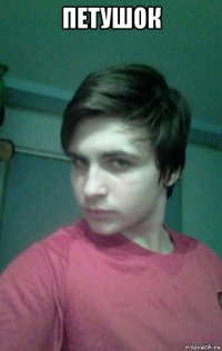 петушок 