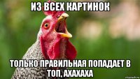из всех картинок только правильная попадает в топ, axaxaxa
