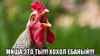  миша это ты!!! хохол ебаный!!!