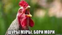  шуры муры, бори мори