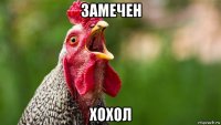 замечен хохол