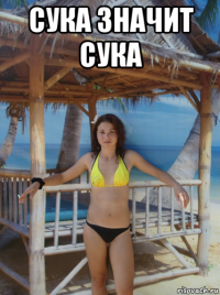 сука значит сука 