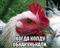  когда колду обкакунькали.