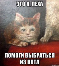 это я, леха помоги выбраться из кота