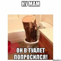 ну мам он в туалет попросился!