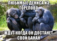 любимые дениса из горелово ждут когда он достанет свой банан