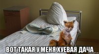  вот такая у меня хуевая дача