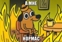 а мне нормас