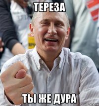 тереза ты же дура