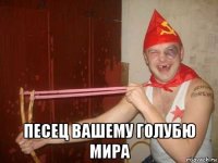  песец вашему голубю мира