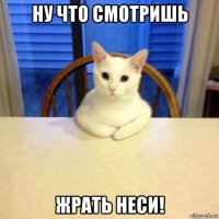 ну что смотришь жрать неси!