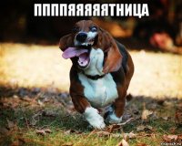 ппппяяяяятница 