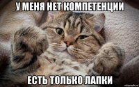у меня нет компетенции есть только лапки
