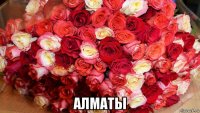  алматы