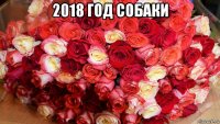 2018 год собаки 